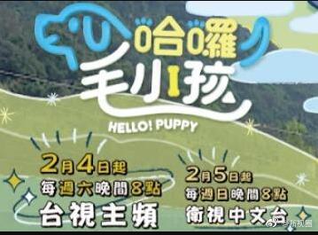 哈囉！毛小孩